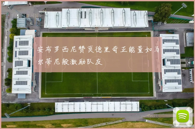 安布罗西尼赞莫德里奇正能量如马尔蒂尼般激励队友
